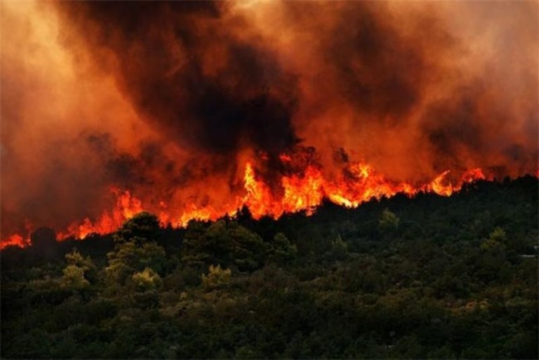 Μεγάλη φωτιά στη Χαλκιδική