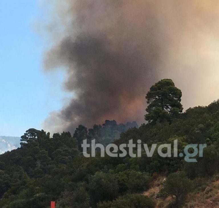 SOS στην Χαλκιδική: Η φωτιά έφτασε στο Πόρτο Καρράς