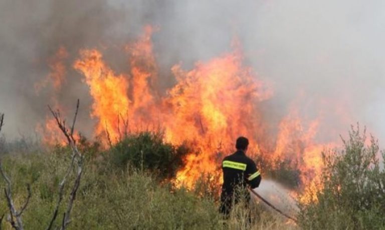 Πυρκαγιές στην Θεσσαλονίκη!