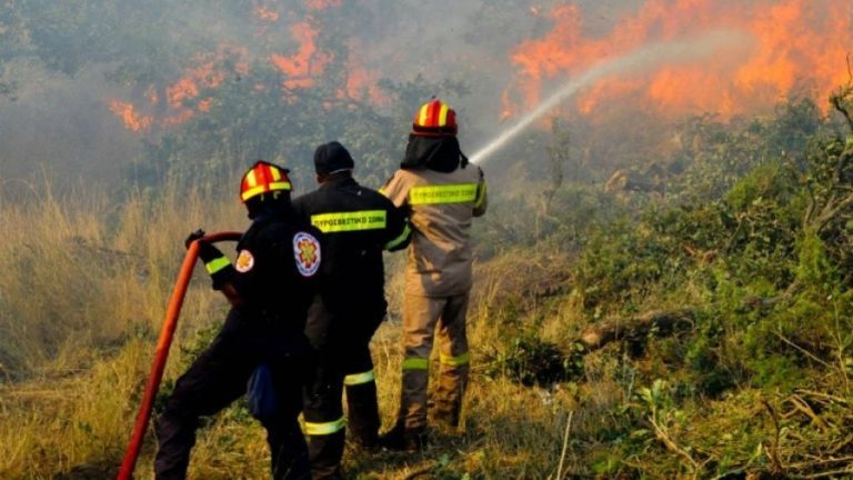 Φωτιά στη Σάνη Χαλκιδικής