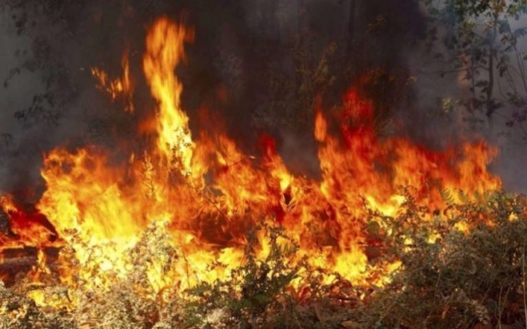 Φωτιά σε ξερά χόρτα στην ΒΙΠΕΘ