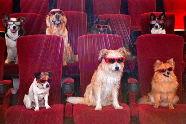 Ήρθε το σινεμά για… σκύλους