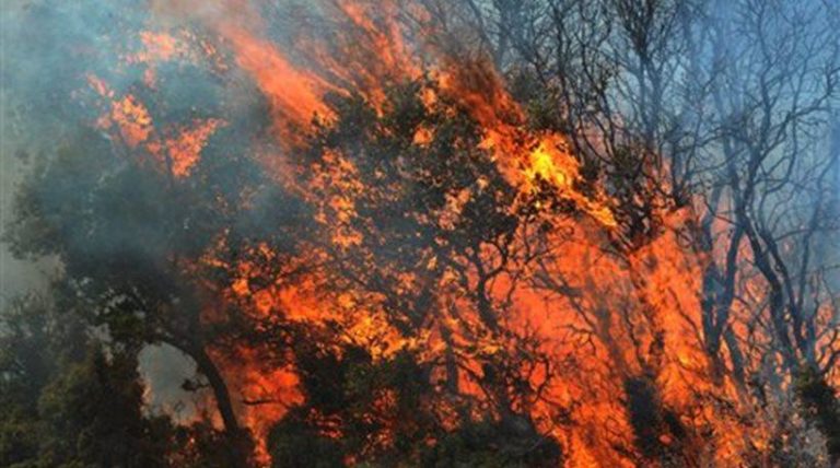 Καίγεται δάσος στη Χαλκιδική