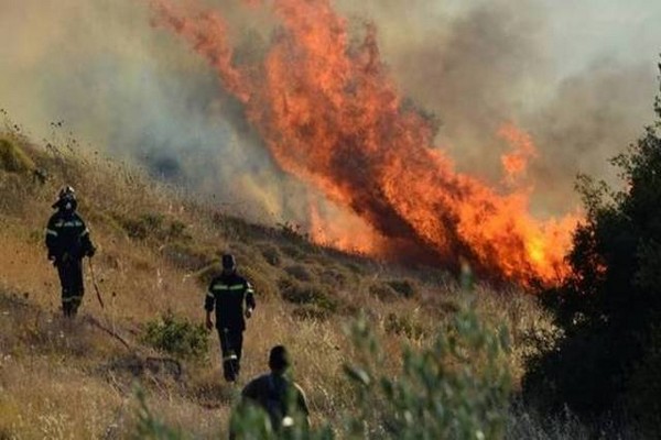Υψηλός κίνδυνος πυρκαγιάς στη Χαλκιδική