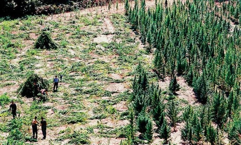 Ερευνα της ΕΛ.ΑΣ. προκαλεί πολιτική κρίση