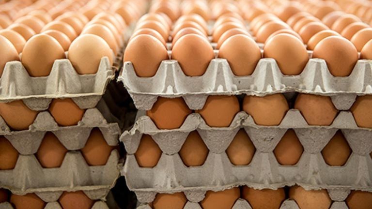 900.000 αυγά χωρίς προβλεπόμενη σήμανση