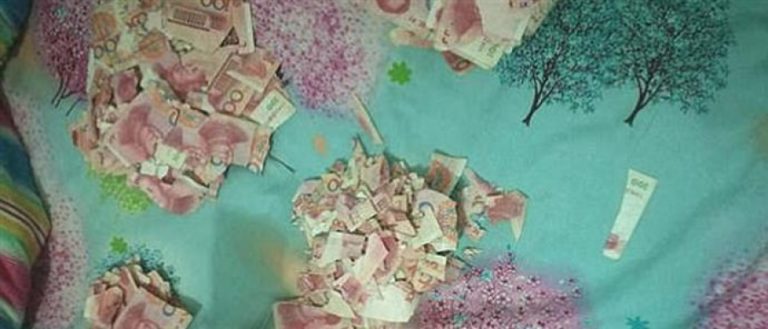 5χρονος έκανε κομματάκια 6.350 ευρώ!