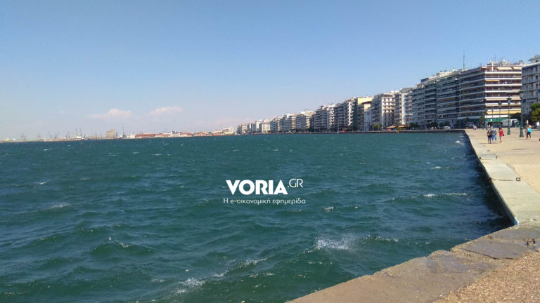 Εξαφανίστηκε το φυτοπλαγκντόν από τον Θερμαϊκό