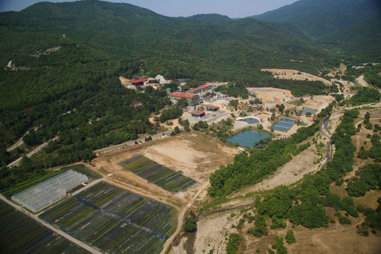 Αναστέλλει όλα τα έργα στην Ελλάδα η Eldorado Gold