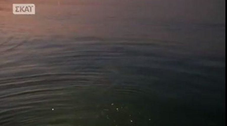 Έπεσε με το αυτοκίνητό του στον Θερμαϊκό! (video)