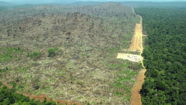 Απίστευτη καταστροφή του Αμαζονίου!