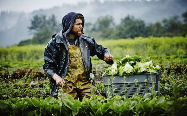 Ένεση ρευστότητας στους Έλληνες αγρότες