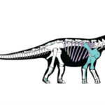 dinosavros 1