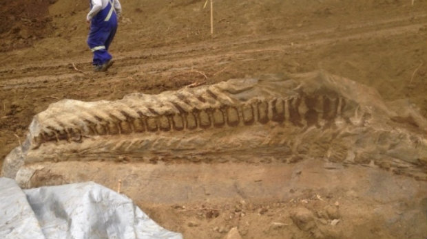 Ανακαλύφθηκε γιγαντιαίος δεινόσαυρος 200 εκ. ετών!