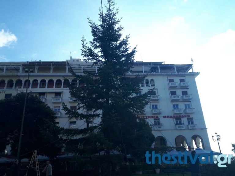 Στήθηκε το χριστουγεννιάτικο δέντρο στην Αριστοτέλους (pics+videos)