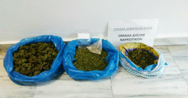 Θεσσαλονίκη: Καλλιεργούσε χασισόδεντρο στην αυλή του!