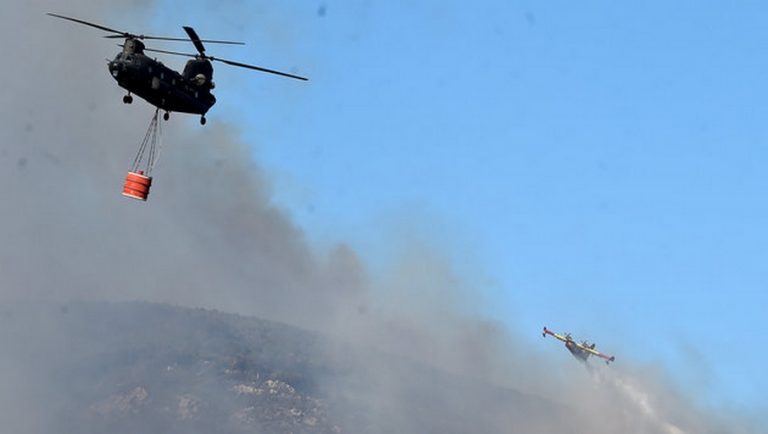 Φοιτητές έκαναν μπάρμπεκιου και έκαψαν δάσος