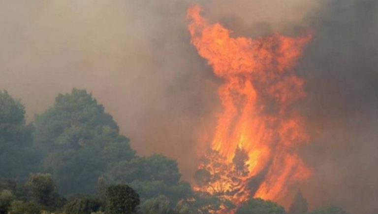 Χαλκιδική: «Υψηλός κίνδυνος πυρκαγιάς!»