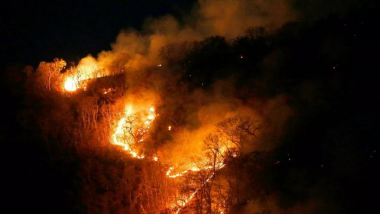 Αμαζόνιος: Διπλασιάστηκε ο ρυθμός αποψίλωσης