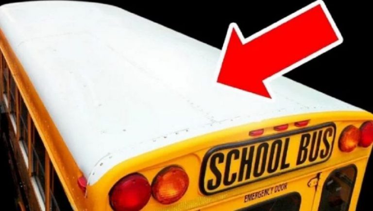 Γιατί τα σχολικά λεωφορεία έχουν άσπρη οροφή