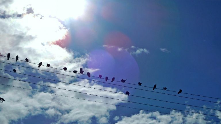Καιρός: 30αρια χτυπάει η θερμοκρασία