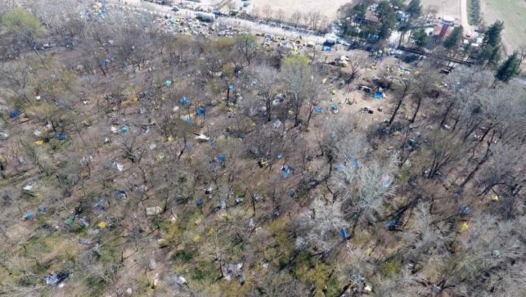 Έβρος: Μετανάστες αποψιλώνουν το παρόχθιο δάσος!