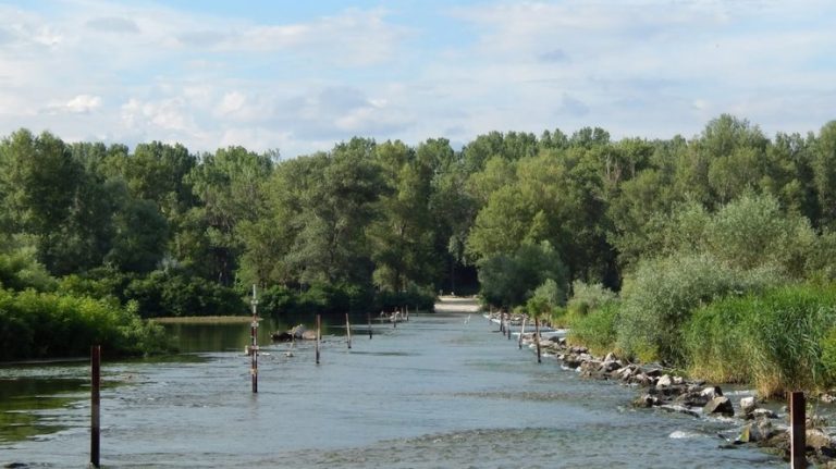 Έβρος: Ανεβαίνει επικίνδυνα η στάθμη του ποταμού Άρδα