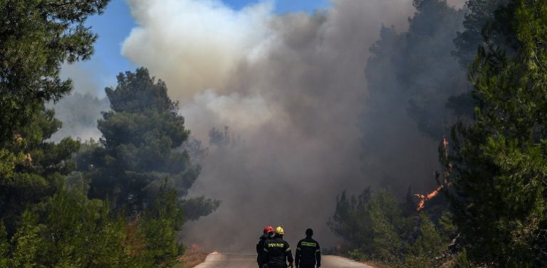 Κασσάνδρα Χαλκιδικής: Φωτιά καίει δασική έκταση