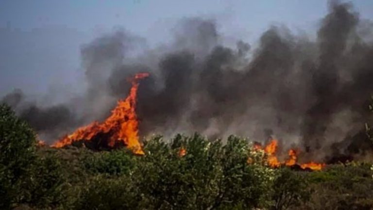 Φωτιά στο Άγιο όρος