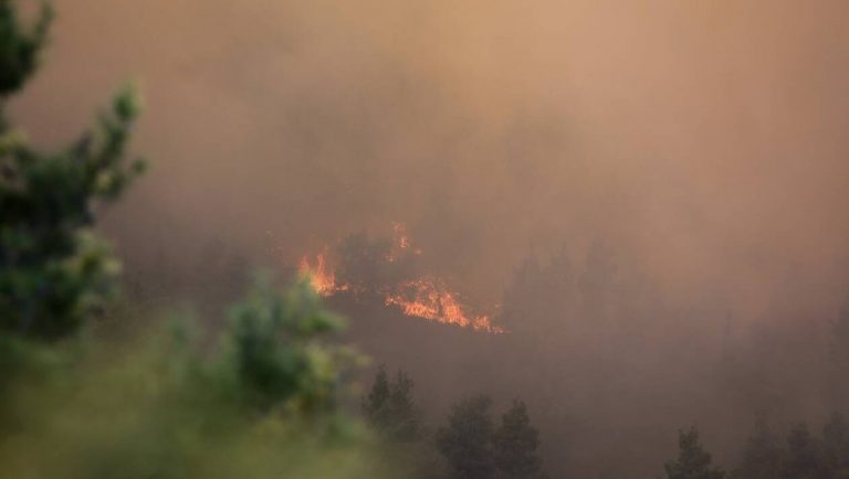 Τώρα: Φωτιά στην Χαλκιδκή