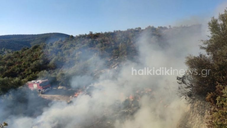 Χαλκιδική: Πυρκαγιά στη Σιθωνία