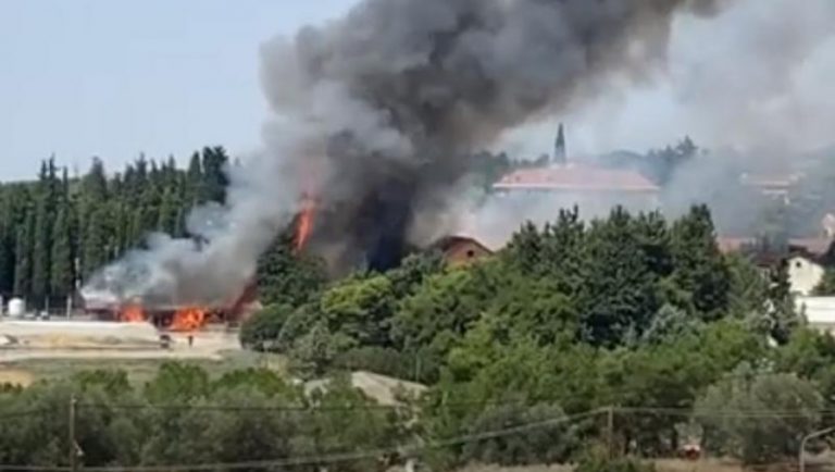 Θεσσαλονίκη: Φωτιά στην Γεωργική Σχολή (video)