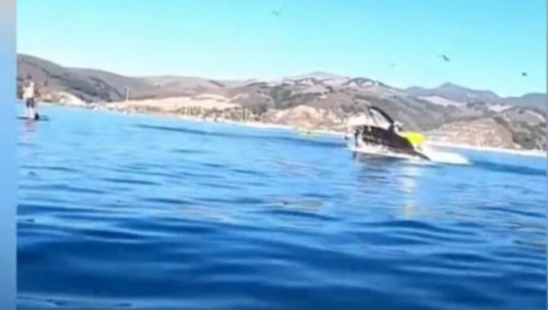 Φάλαινα «κατάπιε» δύο γυναίκες που έκαναν καγιάκ! (videos)