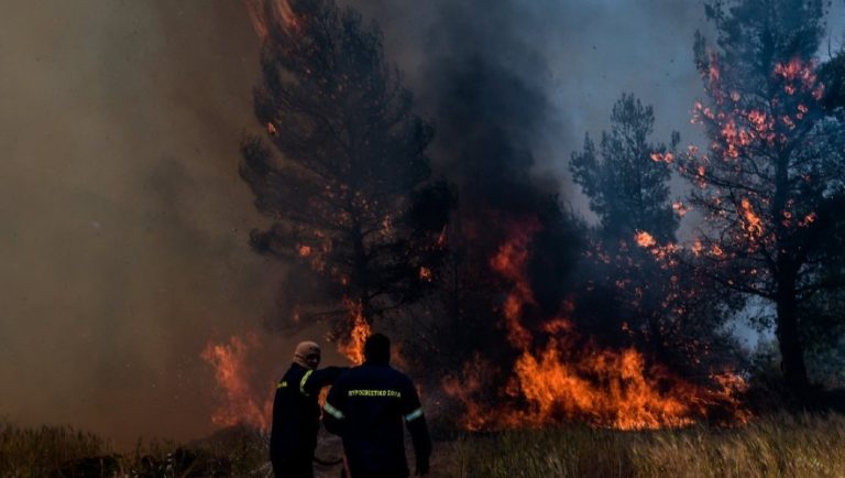 Φωτιά στον Σχίνο: Αναζωπύρωση στα Μέγαρα