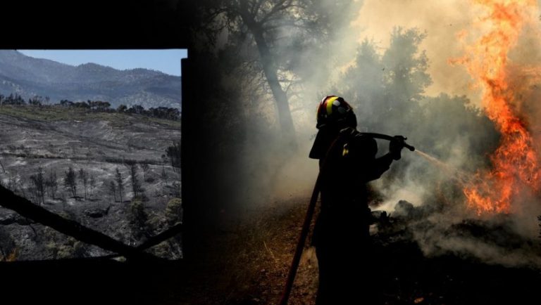 Φωτιά στον Σχίνο: Τρίτη νύχτα μάχη με τις φλόγες