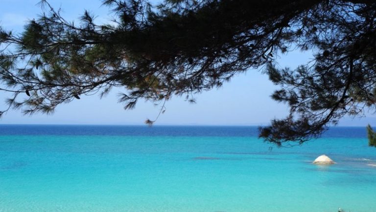 Συναγερμός στην Χαλκιδική