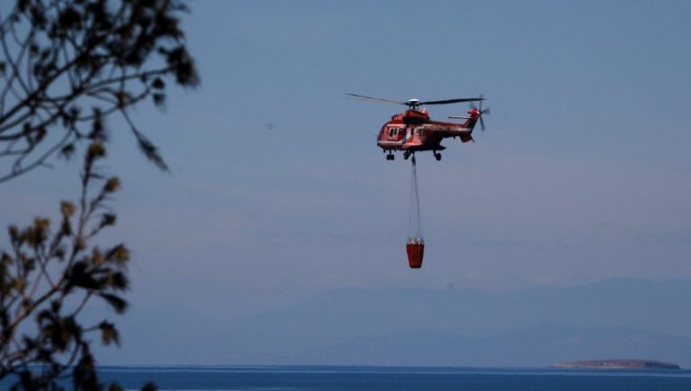 Χαλκιδική: Μεγάλη επιχείρηση της Πυροσβεστικής