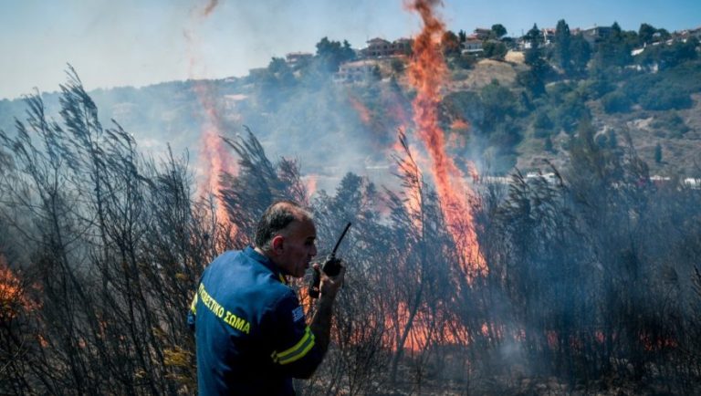 Χαρδαλιάς: 51 φωτιές το Σάββατο