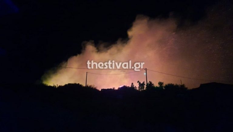 Τώρα: Μεγάλη φωτιά κοντά στο θεατράκι της Ν. Ευκαρπίας