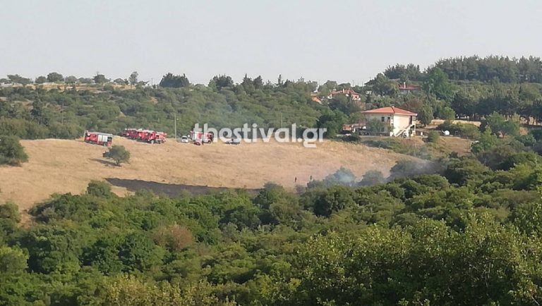 Φίλυρο: Υπό πλήρη έλεγχο η φωτιά