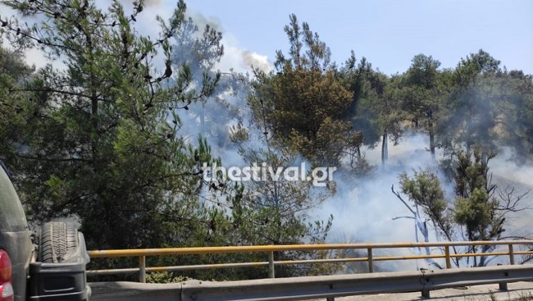 Κλειστή η Περιφερειακή Οδός λόγω της φωτιάς στο Σέιχ–Σου (vid-live)