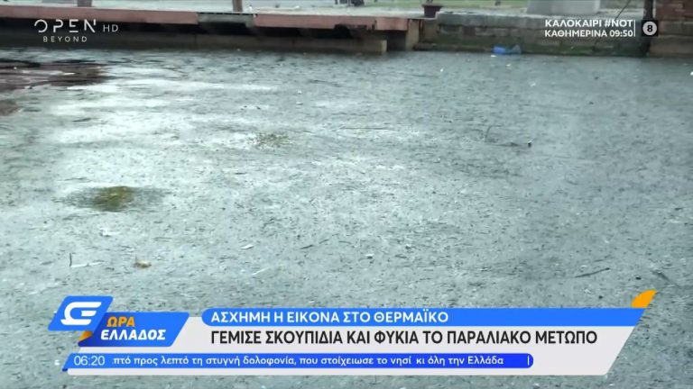 Θεσσαλονίκη: Γέμισε φύκια και σκουπίδια ο Θερμαϊκός (pics-video)
