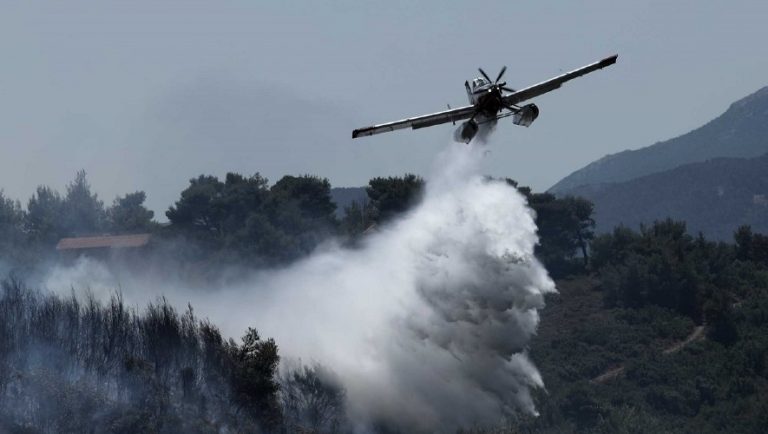 Χαλκιδική: Συναγερμός για φωτιά σε δασική περιοχή