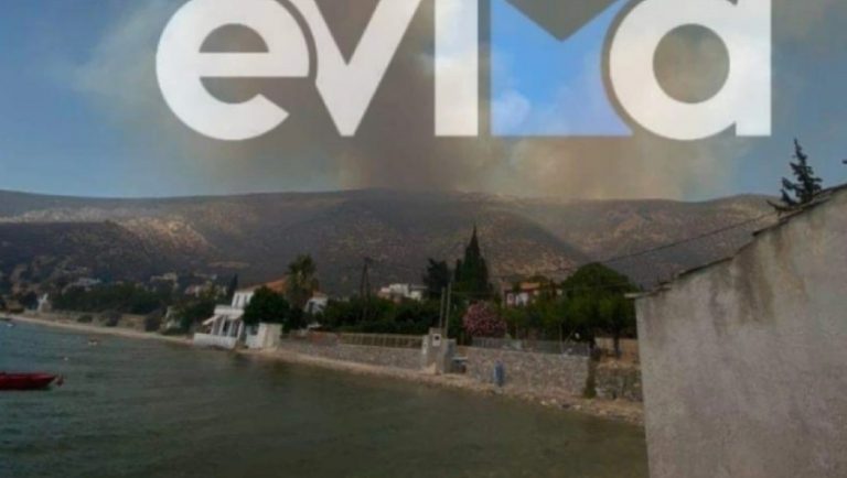 Ανεξέλεγκτη πυρκαγιά στην Εύβοια