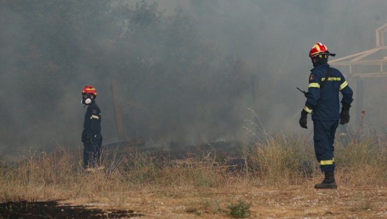 Φωτιά στην Βαρυμπόμπη: Κρίσιμες ώρες (video)