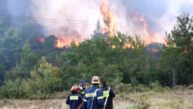 Φωτιά Κρυονέρι: Δίωξη για κακούργημα σε βάρος 43χρονου