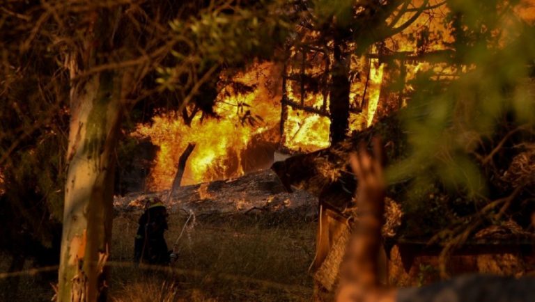 Φωτιά στην Αττική: Προσαγωγές για εμπρησμό στον Άγιο Στέφανο