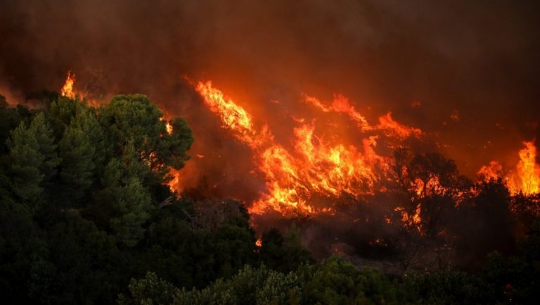 Φωτιά στη Μάνη: Το μέτωπο καίει στη Δεσφίνα