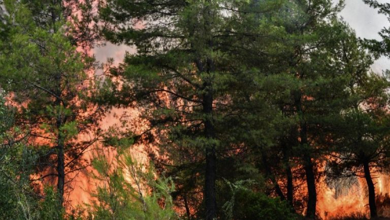 Φωτιές: Ο «χάρτης» των 46 συλλήψεων για εμπρησμό