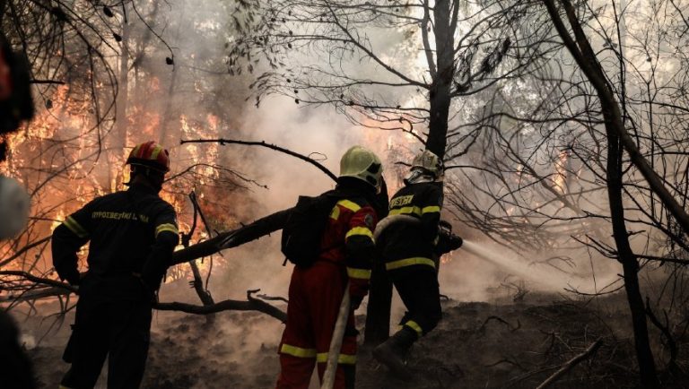 Συναγερμός στην Αρκαδία: «Να φτάσει ό,τι μέσο υπάρχει»